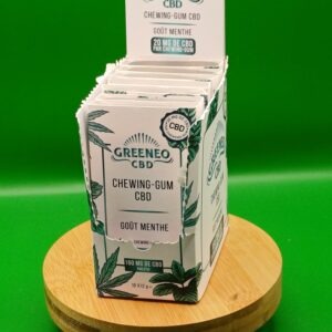 CHEWING- GUM SAVEUR MENTHE